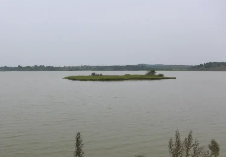 The story of Chandola Lake: Mughal Origin to Modern Challenges